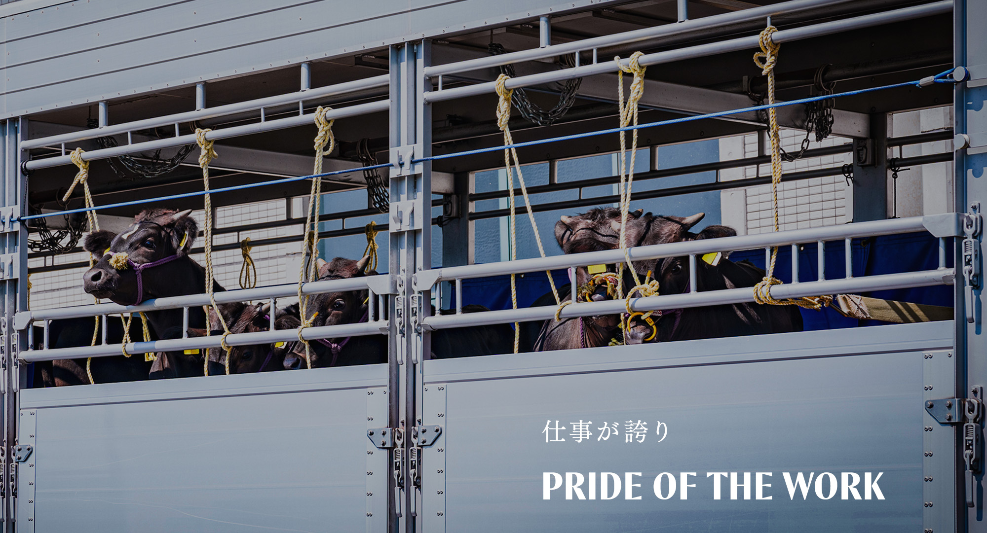 Pride　of the Work -　仕事が誇り -